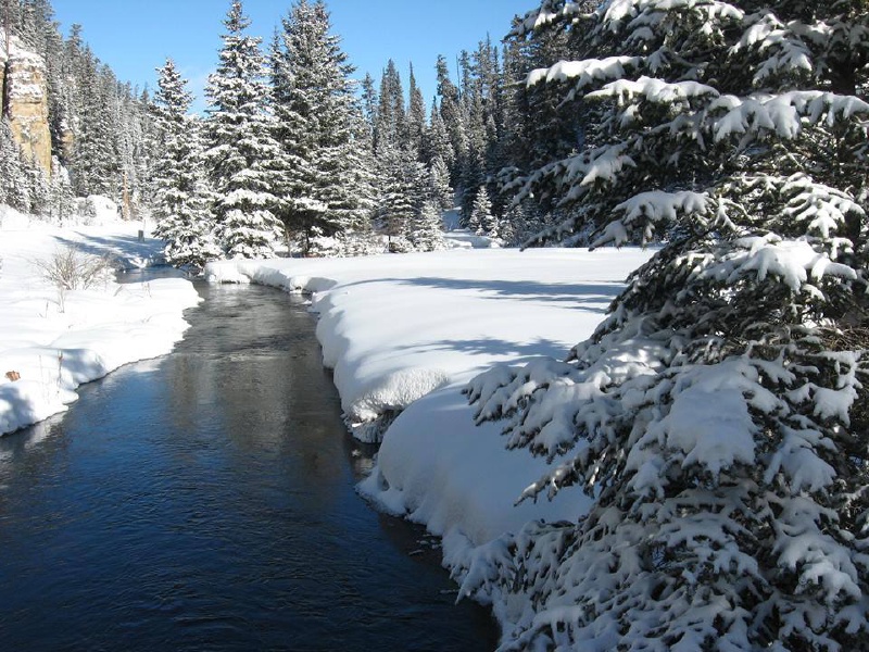 Black-Hills-SD/800x600_Snowy Day.jpg